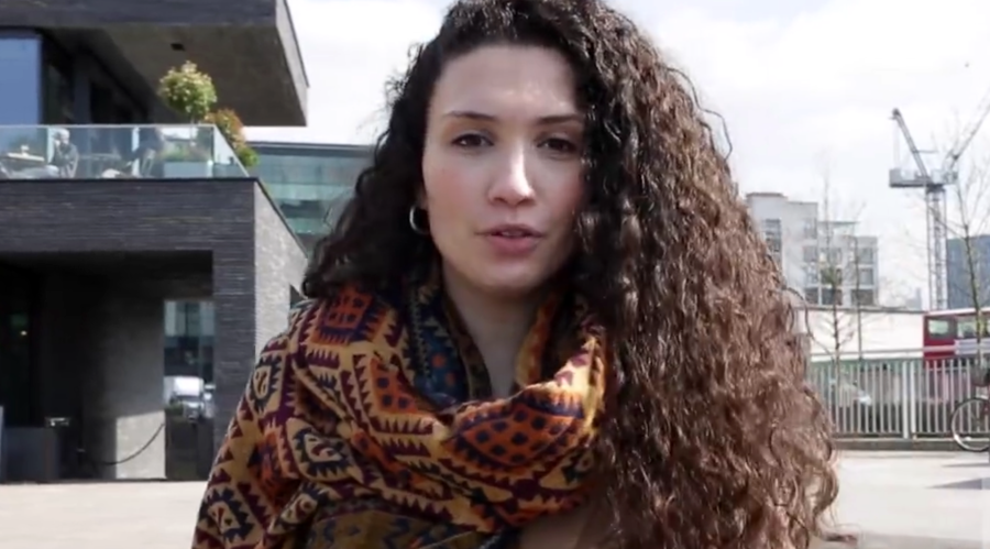 Black British students ‘psychologically damaged by white curriculum’