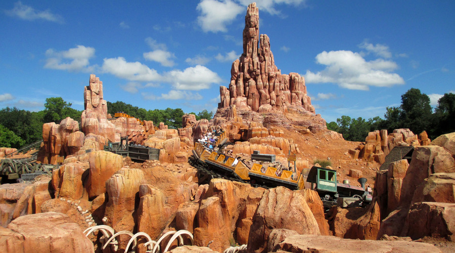 Roller coaster relief: Theme park rides may aid passage of kidney stones, study says