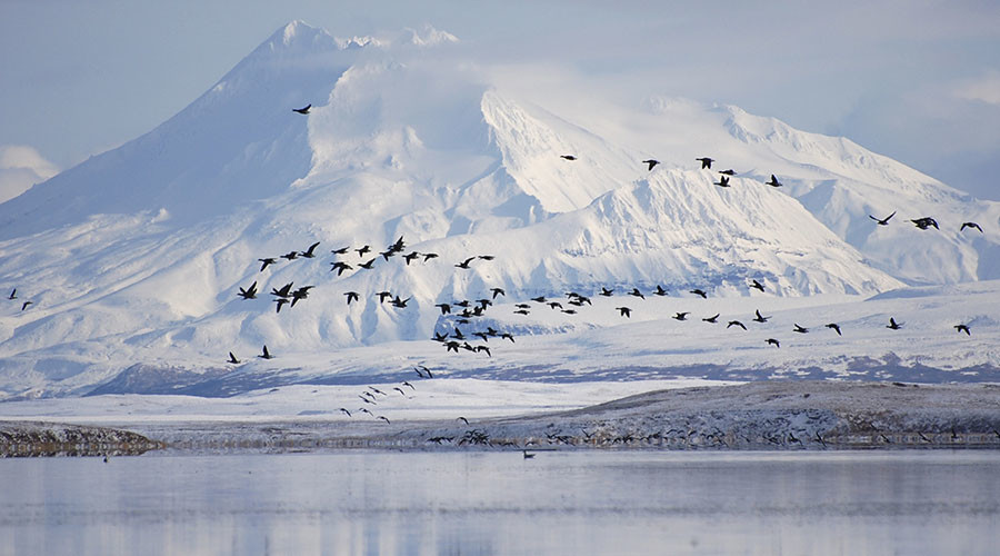 Major offshore oil discovery may revamp Alaska's declining reserves