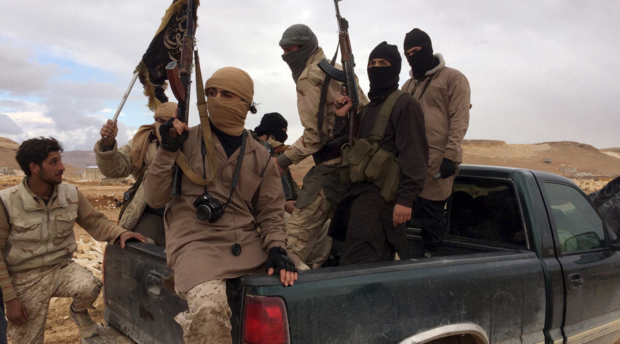No-fly zone in Aleppo would protect Al-Nusra – former Italian FM to RT