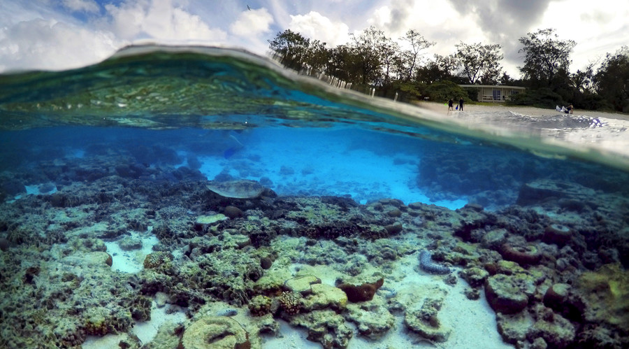 Viral spiral: 'Obituary' for embattled Great Barrier Reef slammed for hyperbole