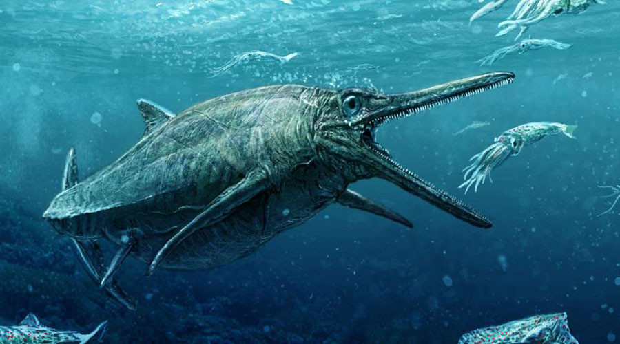 German U-boat ‘attacked by sea monster’ found on seabed off Scotland