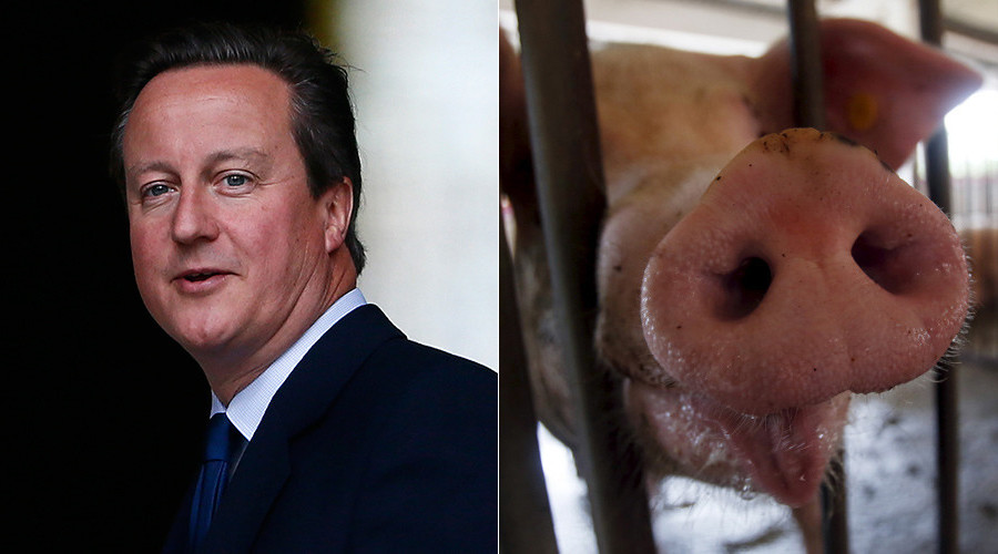 Cameron to publish ‘tell-all’ memoir... but will ex-PM come clean about #PigGate?