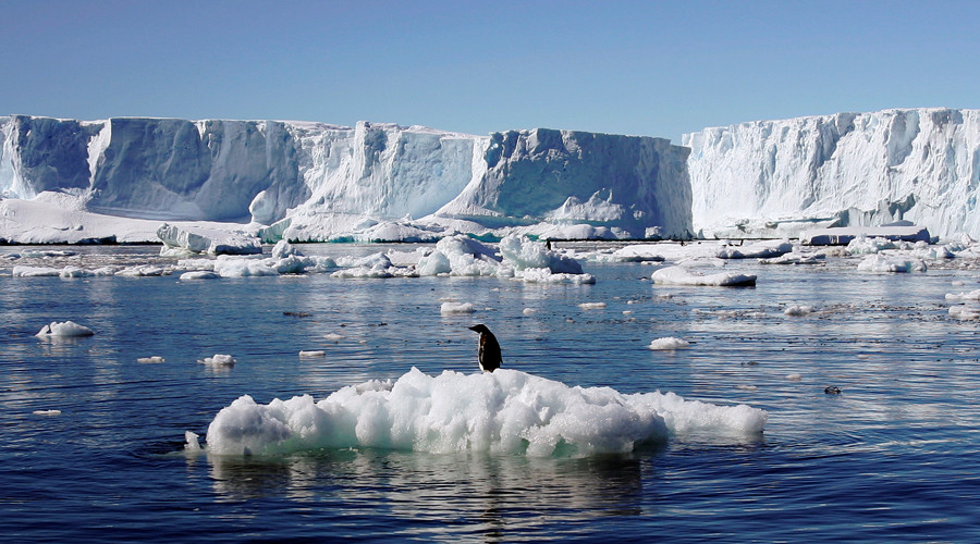 World’s largest marine reserve in Antarctic gets green light