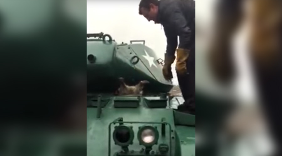 Rocket Raccoon fail: Animal stuck in army tank hilariously rescued (VIDEO)