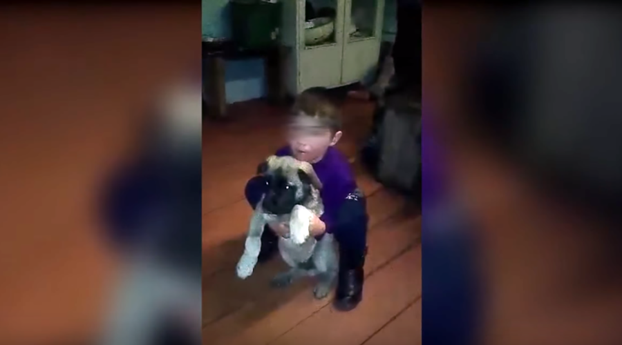5yo boy survives freezing wolf-infested Taiga safeguarded by 2 dogs