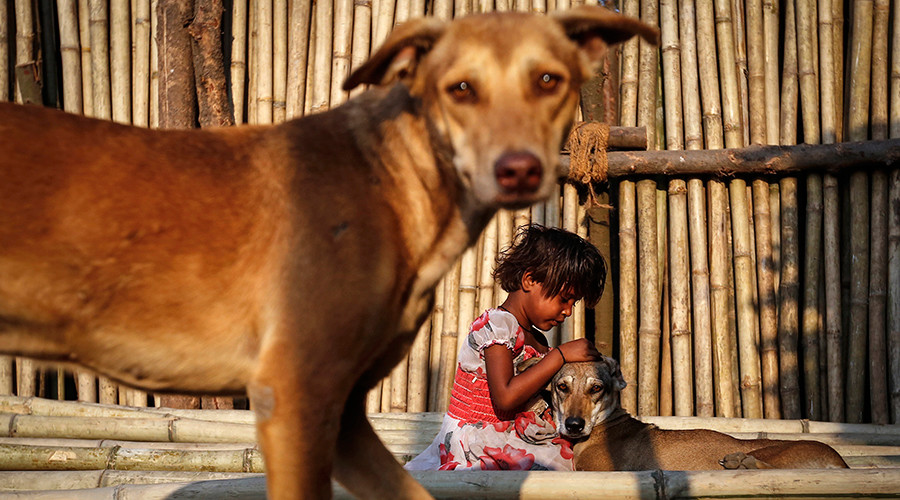 College in southern India offers gold coins for ‘killing maximum number of stray dogs’
