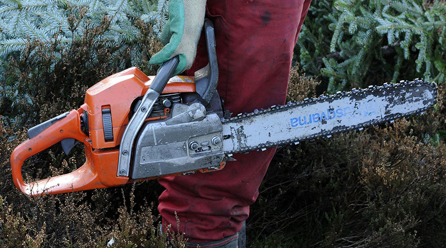 Man pleads guilty to murdering elderly mother with chainsaw