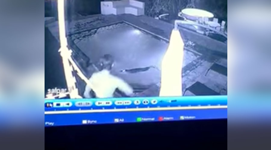 CCTV captures horrifying crocodile attack on couple in pool (VIDEO)