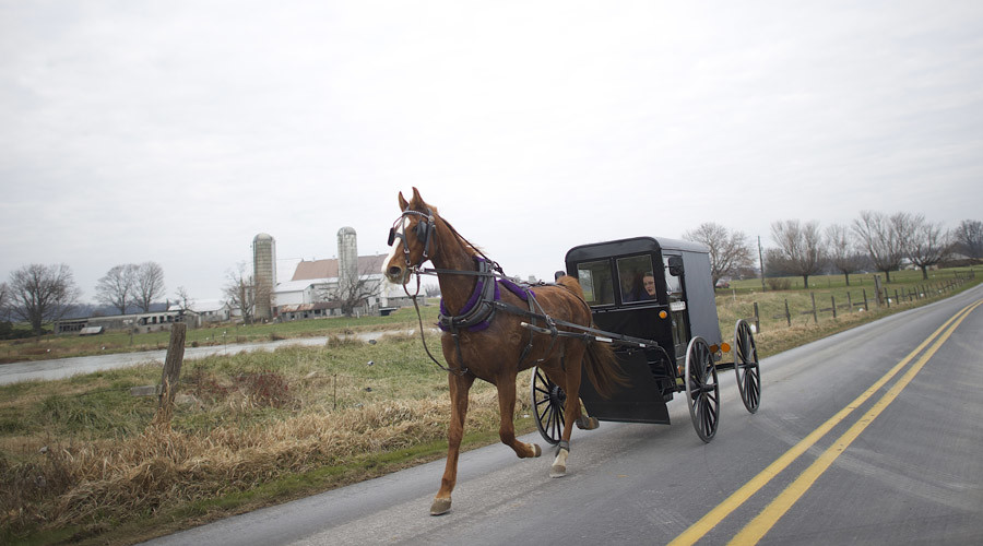 Amish residents in Kentucky take on authorities over horse poop bag laws