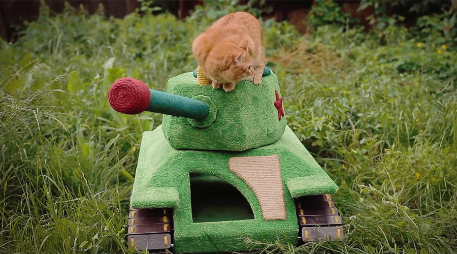 Russian Engineer Builds Tank Toy for Cat