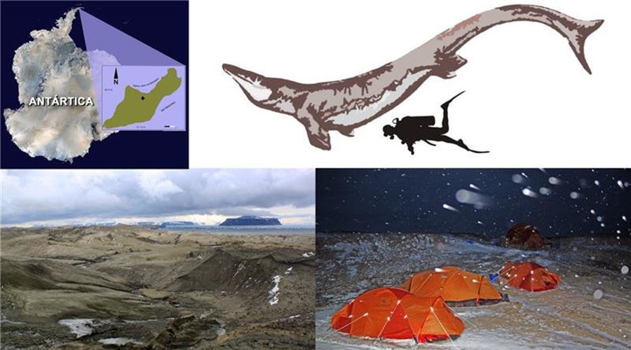 Evidence of enormous ancient sea lizard found in Antarctica