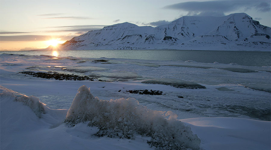 Arctic ice pack the size of Florida melted after ‘extreme cyclone’ (VIDEO)