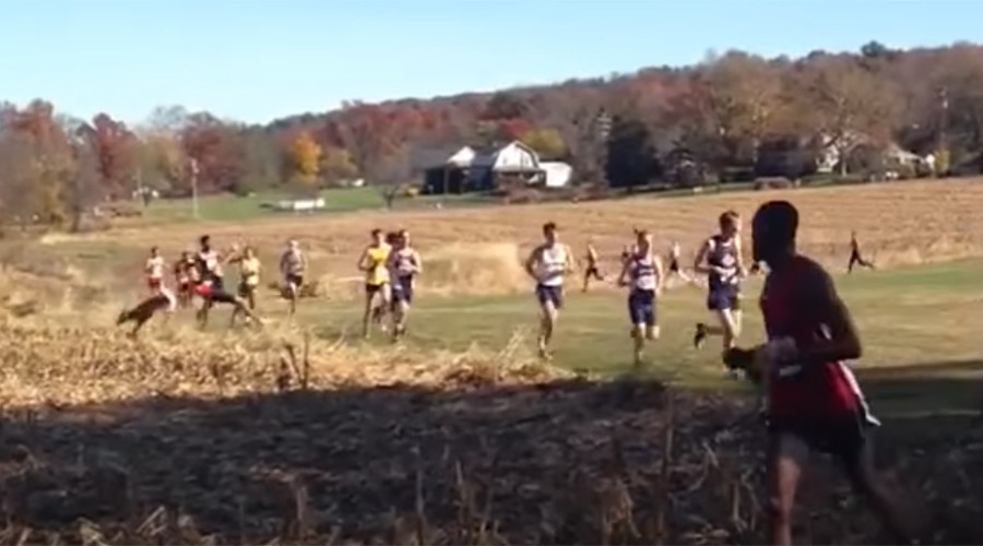Cross country competitor bodyslammed by oncoming deer (VIDEO)