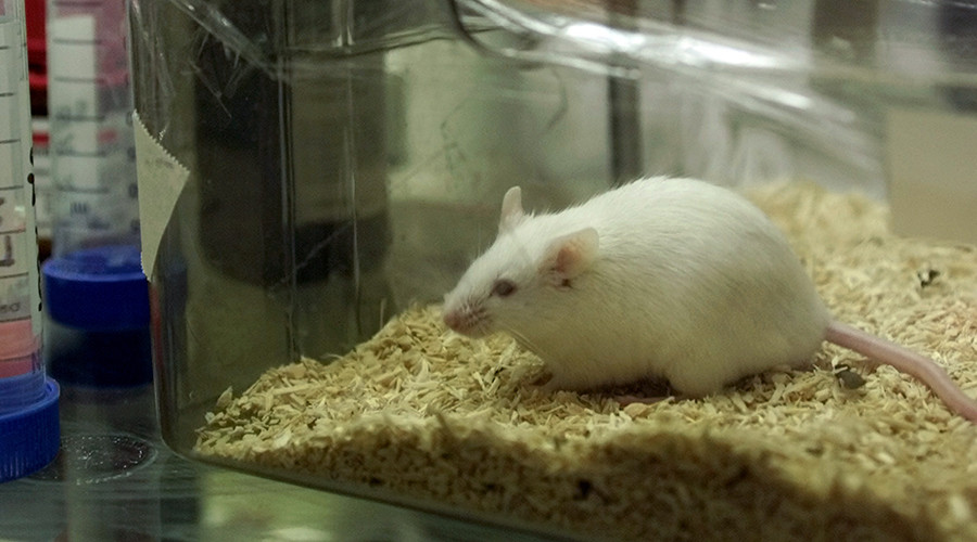 Genetic engineering ‘breakthrough’ could slow aging, reverse blindness