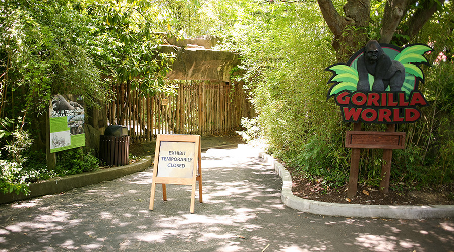 Ohio zoo gorilla exhibit barrier too short when Harambe was shot