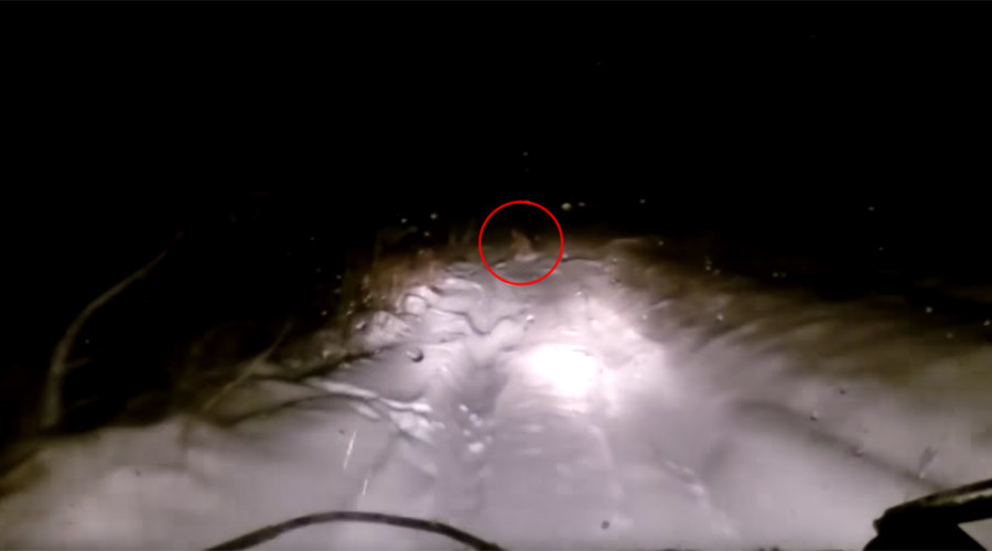 Has this dashcam captured ‘Yeti’ in snowy Russian forest? (VIDEO)