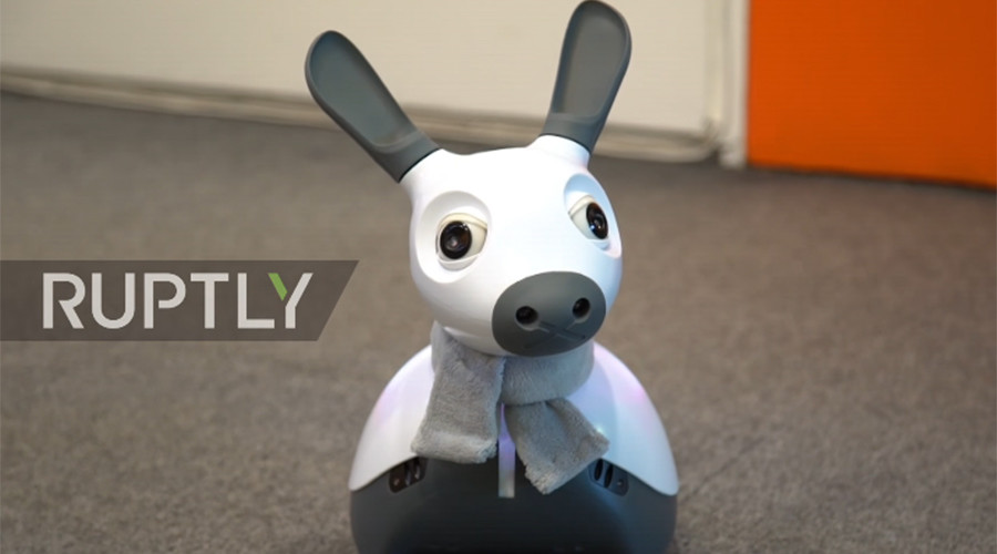 ‘Cognitive being’: Robo-dog offers AI caring alternative (VIDEO)