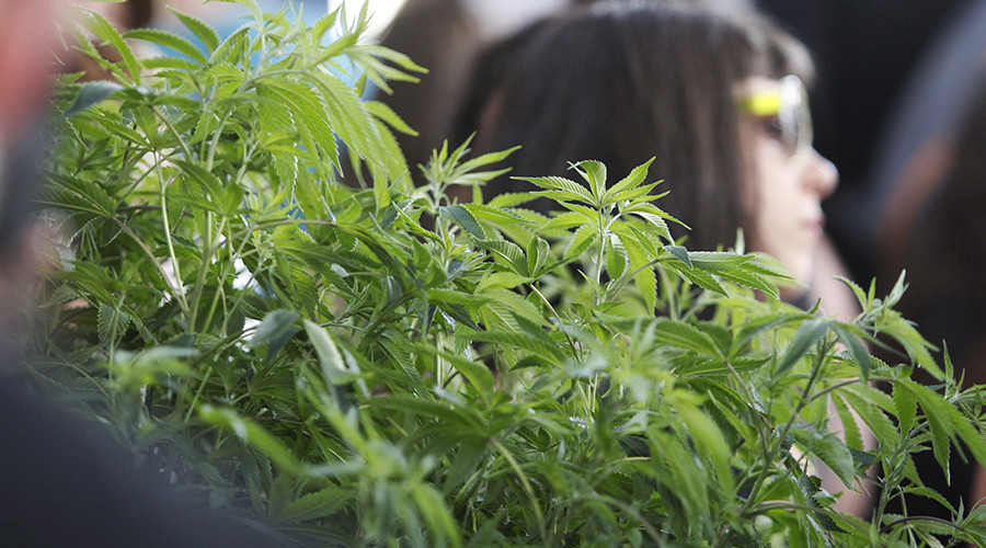 Weed sales bring record windfall for Washington state