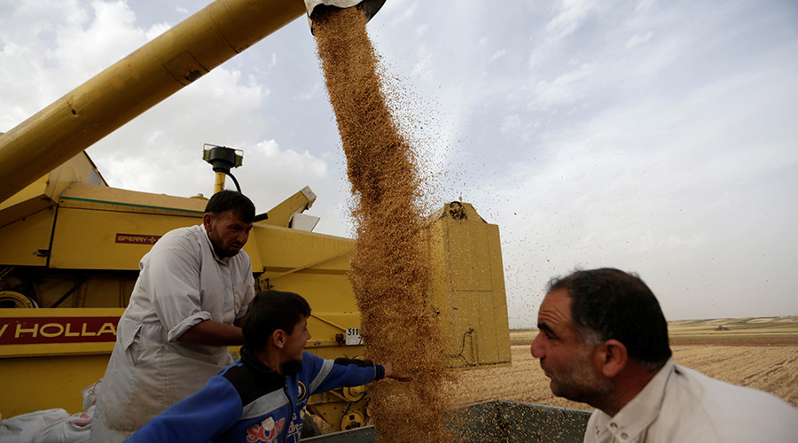 Russia sets up free trade zone with Syria