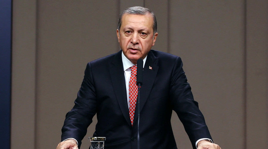 Turkey takes care of European values more than many EU countries, Erdogan says