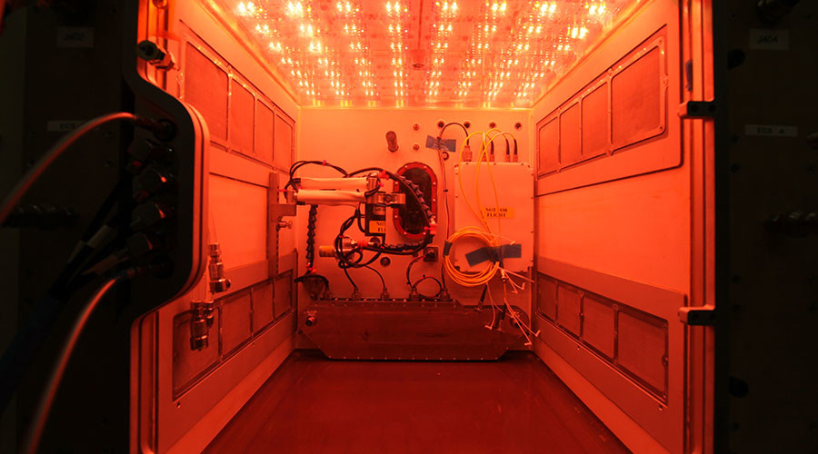 Space mustard: NASA trial ‘largest plant chamber’ before ISS delivery (PHOTO)