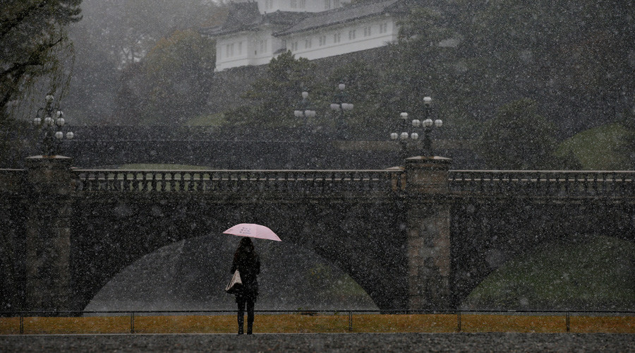 Tokyo stunned by first November snow in 54 years (PHOTOS, VIDEOS)