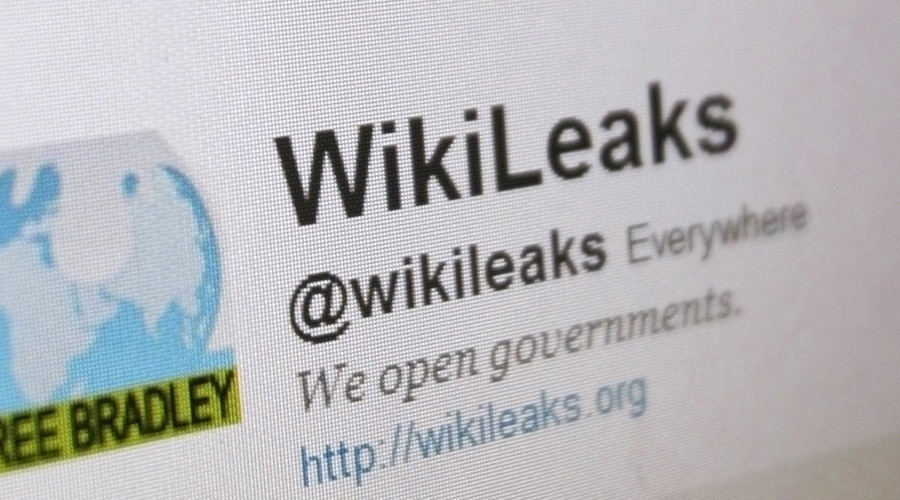 ‘Sniffers & taps on journalists’: WikiLeaks publishes emails as whistleblower Brown is paroled