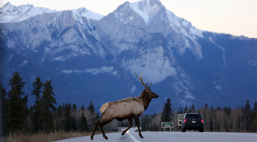 Canada expands controversial oil pipeline to Pacific