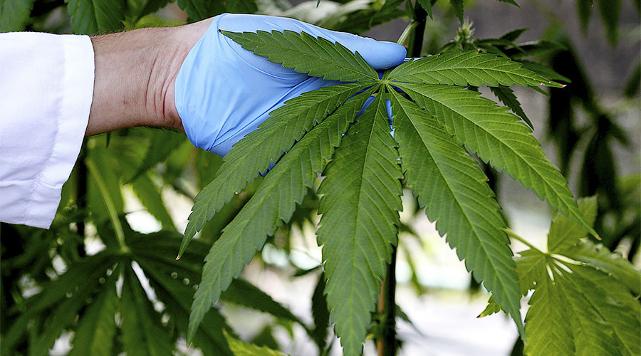 Israeli drug company to distribute world’s first selective-dose cannabis inhaler