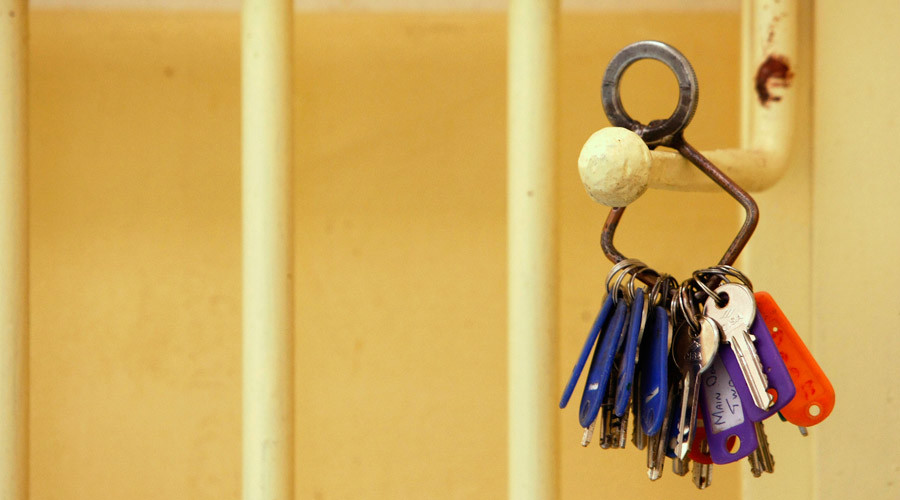 ‘Love bus’: Prisoners in Austria to be transported to rural cell for conjugal visits
