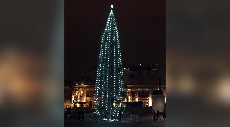 ‘Giant illuminated cucumber’: Londoners slam Norway’s Christmas tree gift