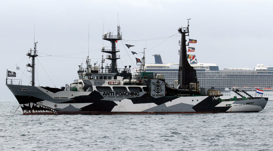 2 ships set sail to ‘intercept’ Japanese whale fleet (PHOTOS, VIDEO)