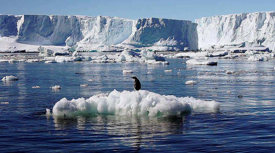 Chunk of ice ‘the size of India’ disappears from polar regions
