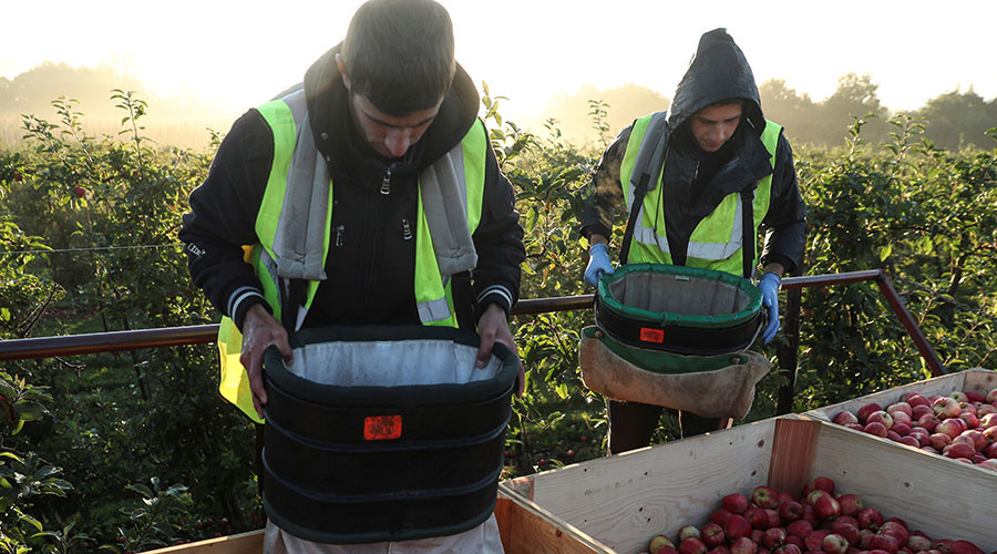 Post-Brexit plunge in immigration won’t push up wages – report