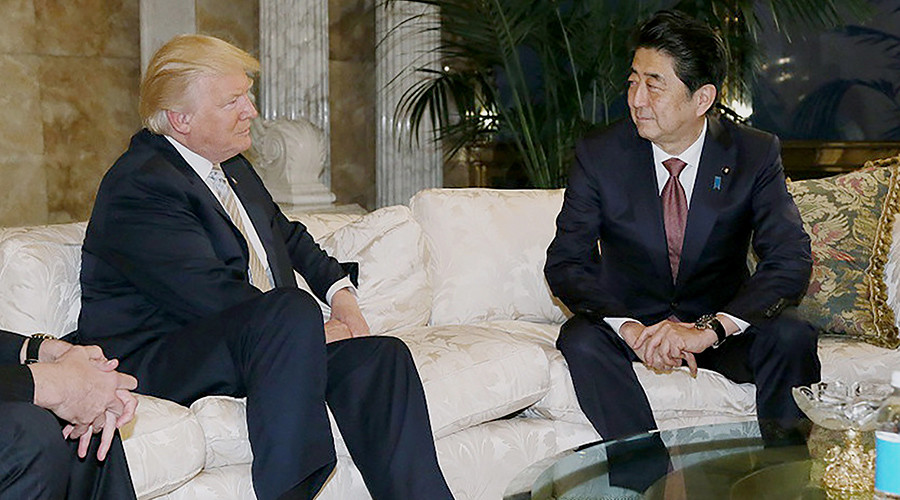 Japan's parliament passes Pacific trade pact despite Trump promise to pull US out