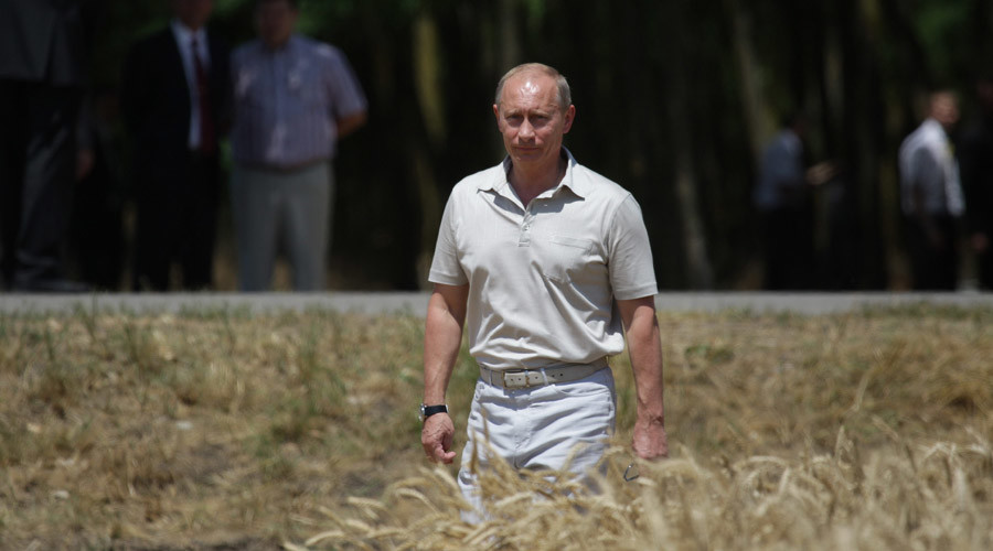 Russia key player on global agriculture market - FAO director