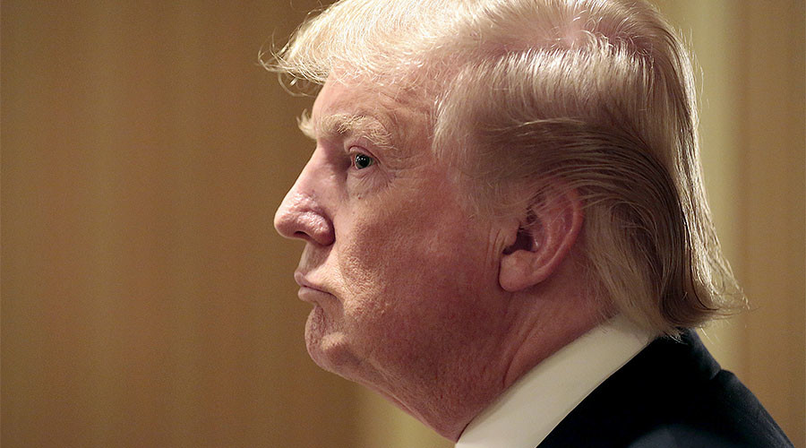 Hair, there & everywhere: The most bizarre 'sightings' of Trump’s famous mop (PHOTOS)