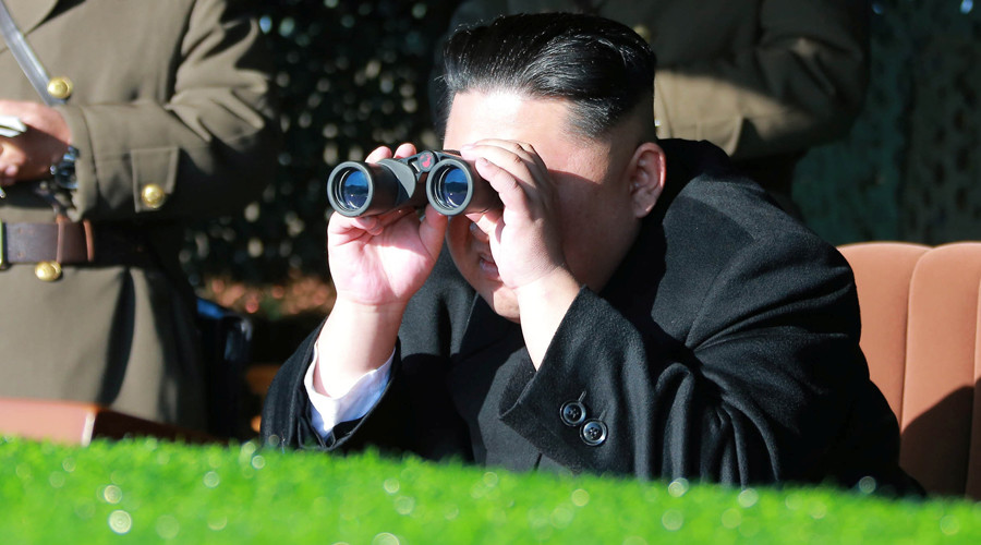 N. Korea developing long-distance drone – report
