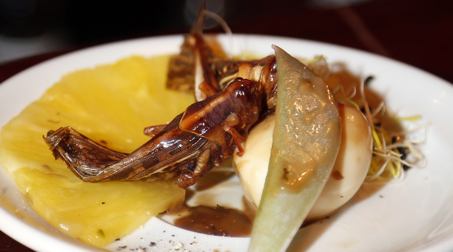 ‘Tastes like chicken’: Swiss supermarket to sell ‘bug burgers’ following loosening of food laws