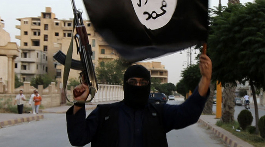 Welfare jihad: Dozens of Danish ISIS fighters received state unemployment benefits