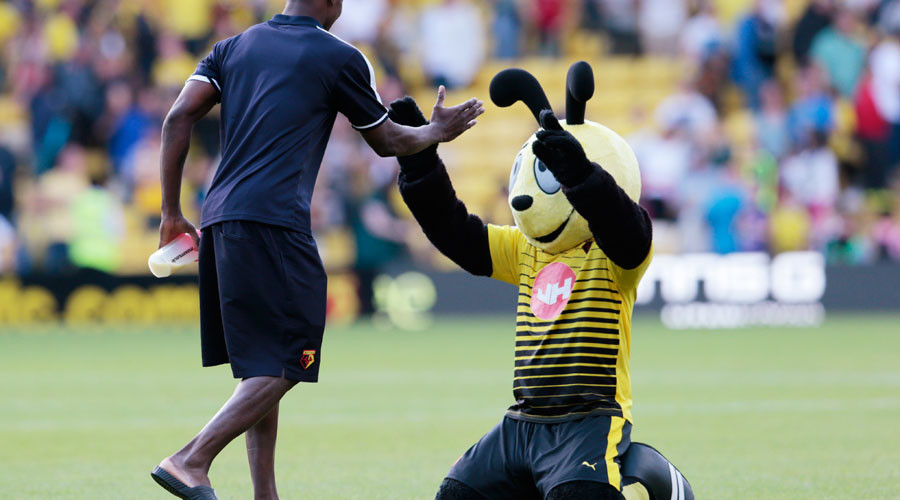 ‘Harry the Hornet out of order’: Football mascot’s mock dive sparks row