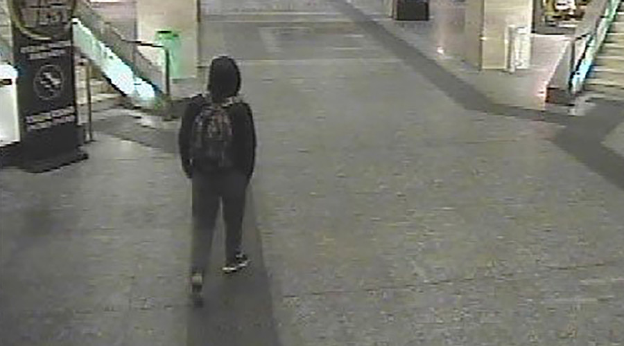 ‘Signs’ Berlin attack suspect passed through Netherlands on way to Italy – police