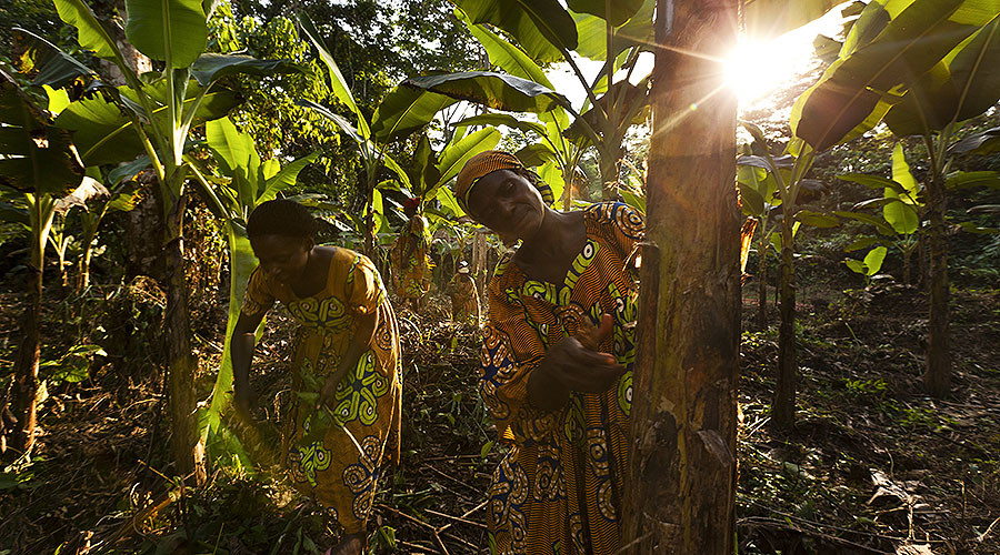 ‘Torture & murder’: WWF to be probed for alleged human rights abuses against Cameroon tribes