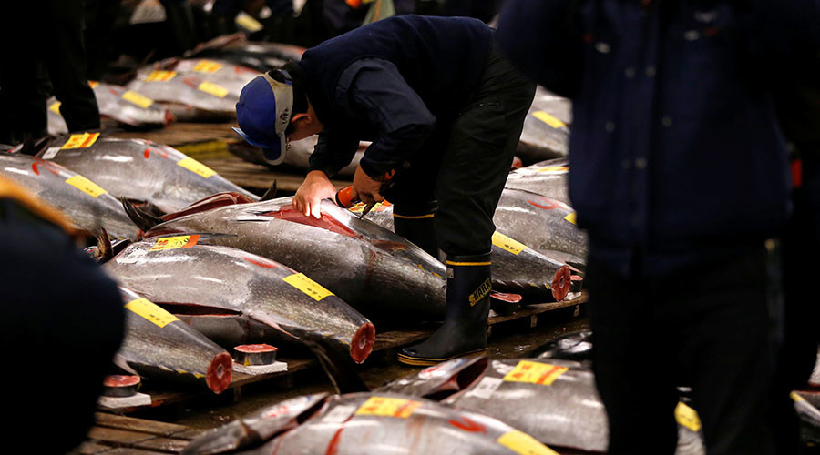 Detection of cancer-causing chemical at Tokyo site delays relocation of world’s largest fish market