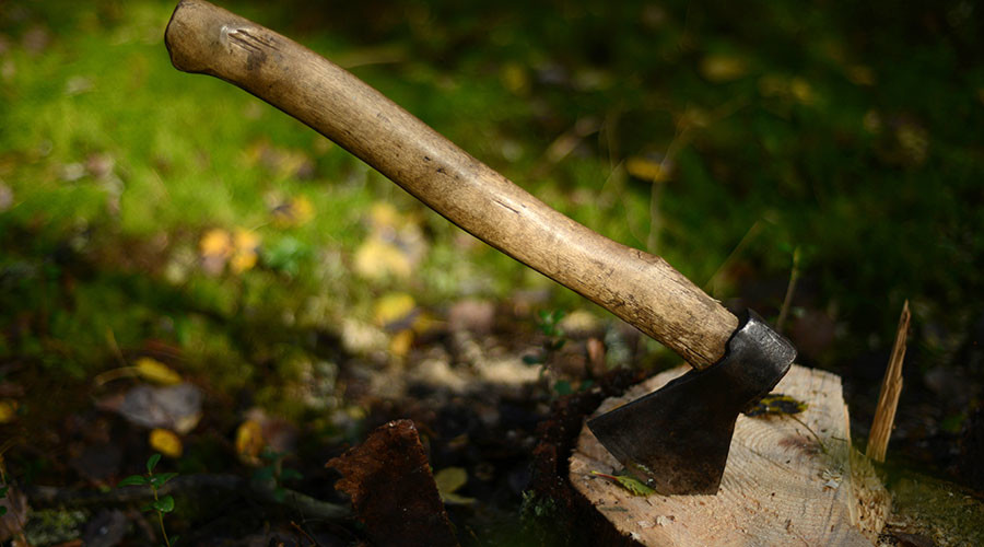 'Satanist' teen suspected of slaughtering his family with ax