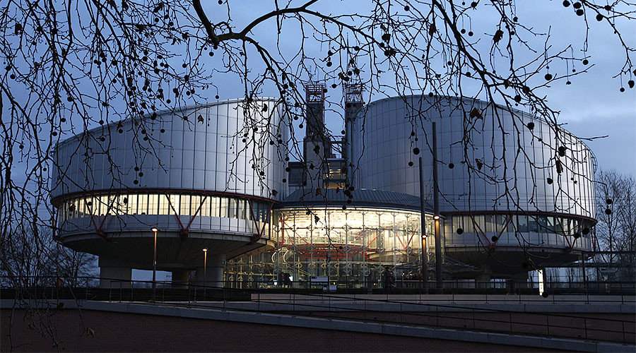 ‘Blatant interference’: Russian lawmakers slam ECHR over adoption ruling