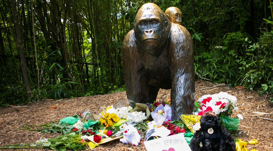 Harambe’s grandmother dies, conspiracy theories begin & Russia blamed
