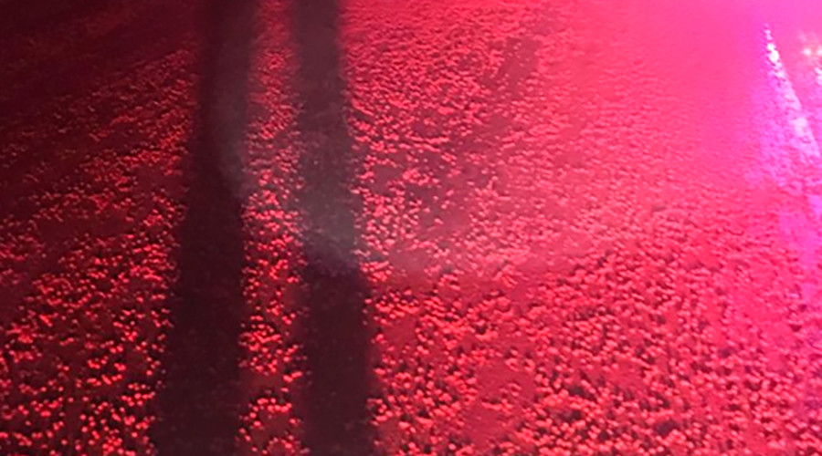 Skittles destined for cattle feed flood highway, public baffled