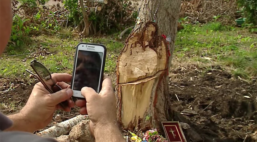Stickmata? ‘Tree Jesus’ draws believers to dead trunk in Argentina (VIDEO)
